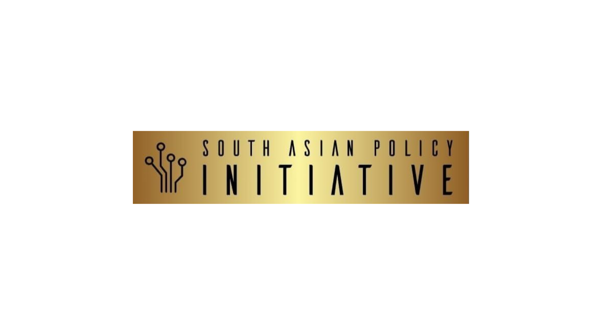 South Asian Policy Initiative